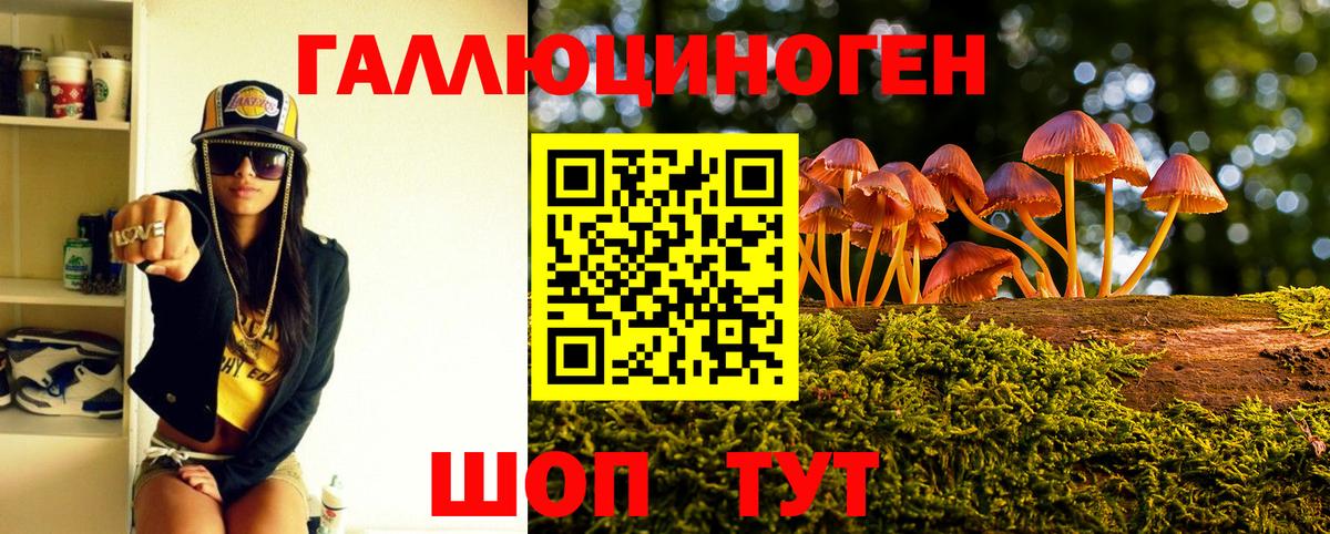 Партизанск  наркошоп  Вход с VPN  Псилоцибиновые грибы Cubensis 